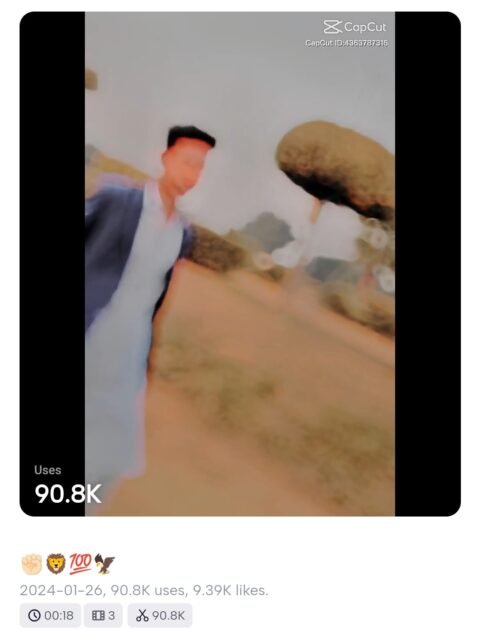 Gair Kanooni X Shubh CapCut Template