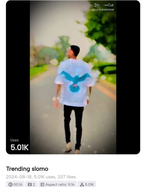 Bhul To Nahi Gaye Hame CapCut Template