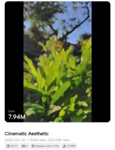 Aesthetic CapCut Template 4 Aesthetic CapCut Template Link 2024