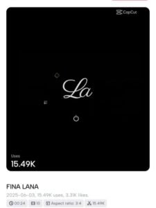 Fina Lana CapCut Template 3 Fina Lana CapCut Template - 2025