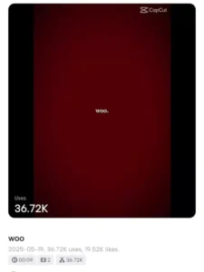 Woo - Rihanna CapCut Template 6 Woo - Rihanna CapCut Template Link 2025